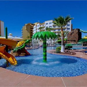 Las palmas